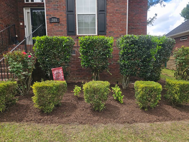 Mulch Installation