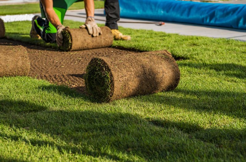 Sod Installation/Lawn Renovation