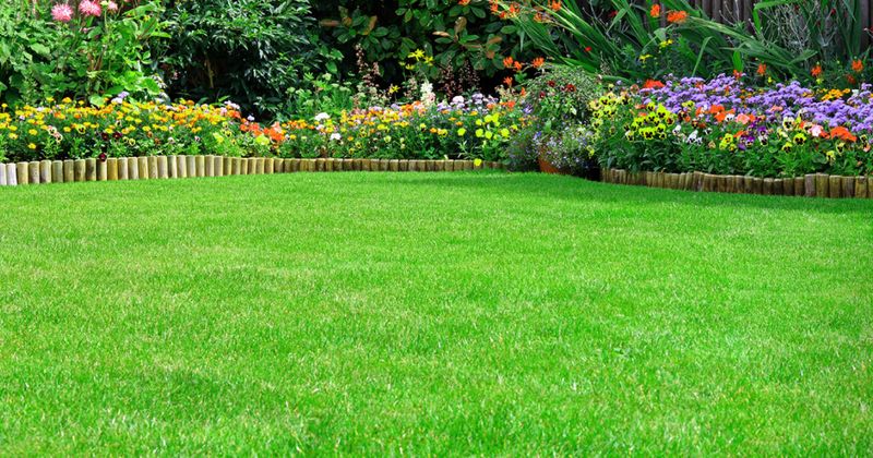 Landscaping