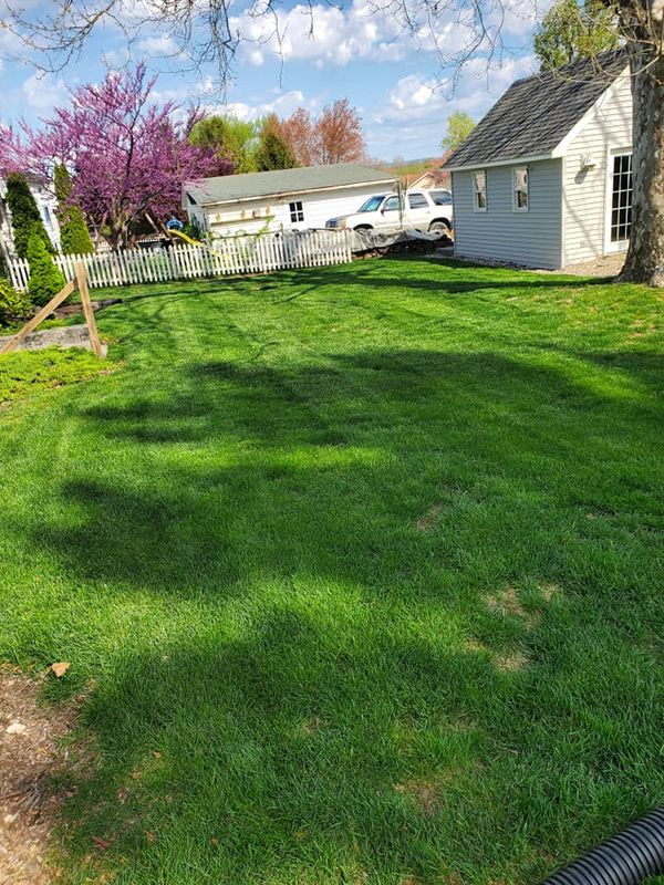 Lawn Care