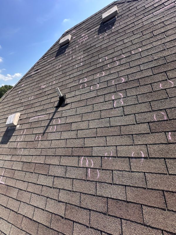 Free Inspection