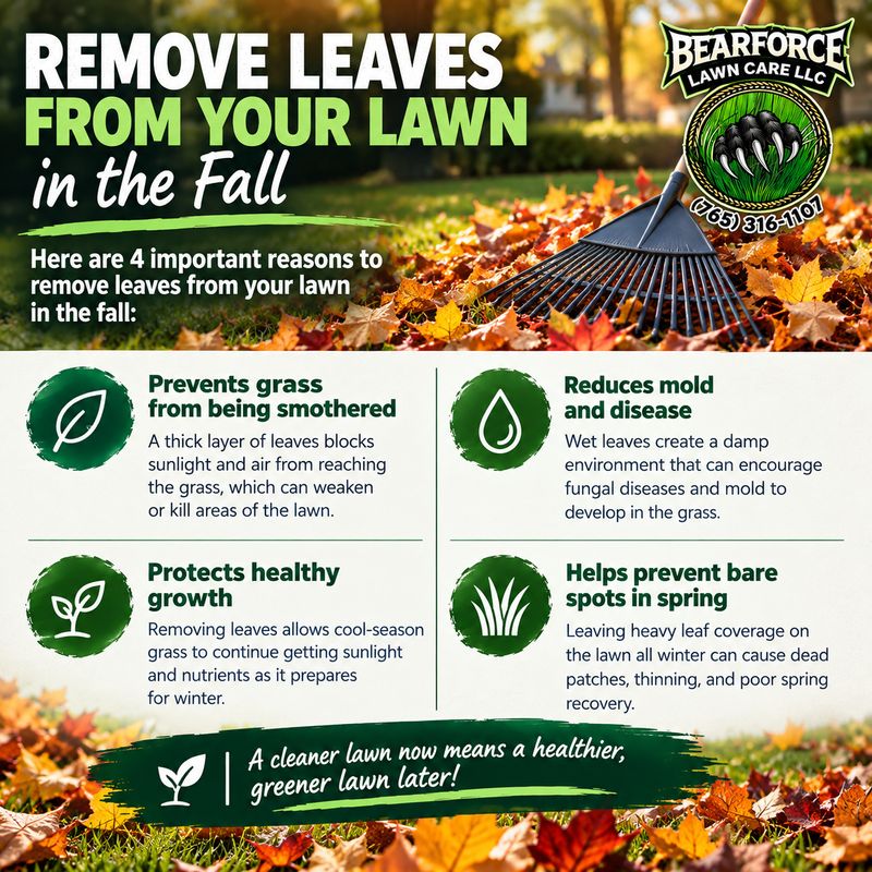 Fall and Spring Clean Up