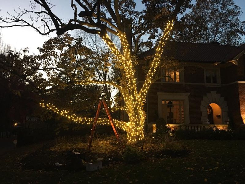Municipal Christmas Lights