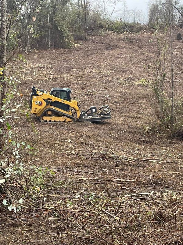 Forestry Mulching