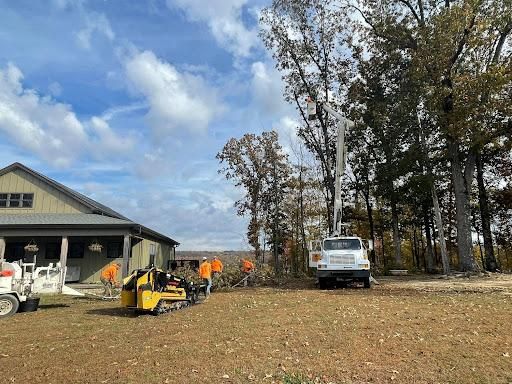Other Tree Services