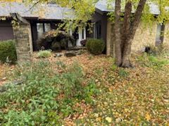 Fall and Spring Clean Up