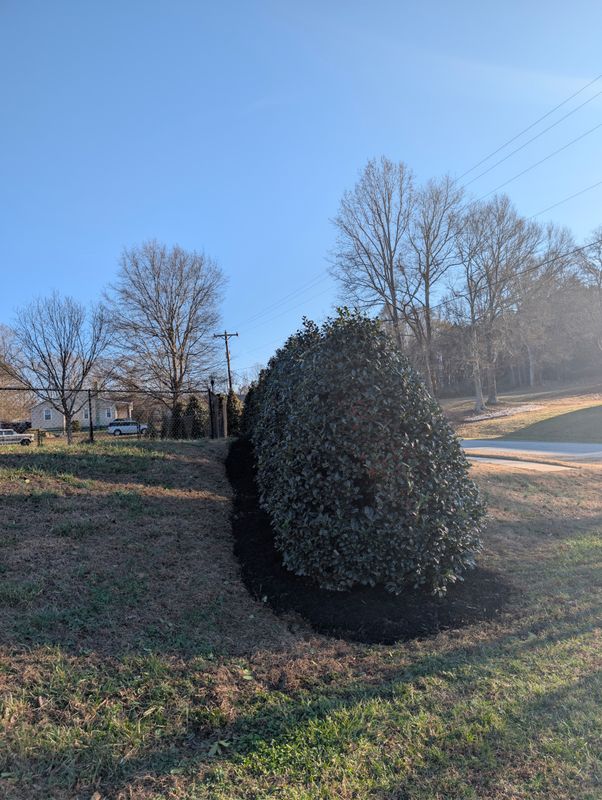 Mulch Installation