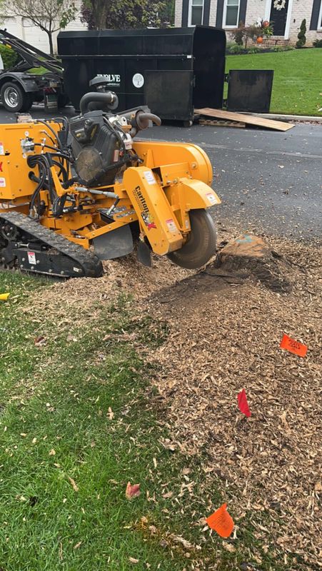 Stump Removal