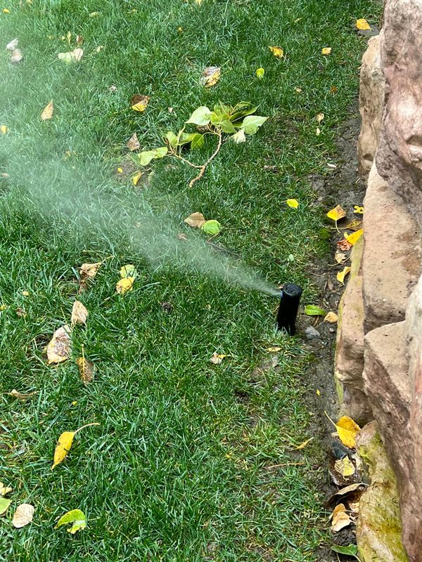 Sprinkler Repair/ Installation