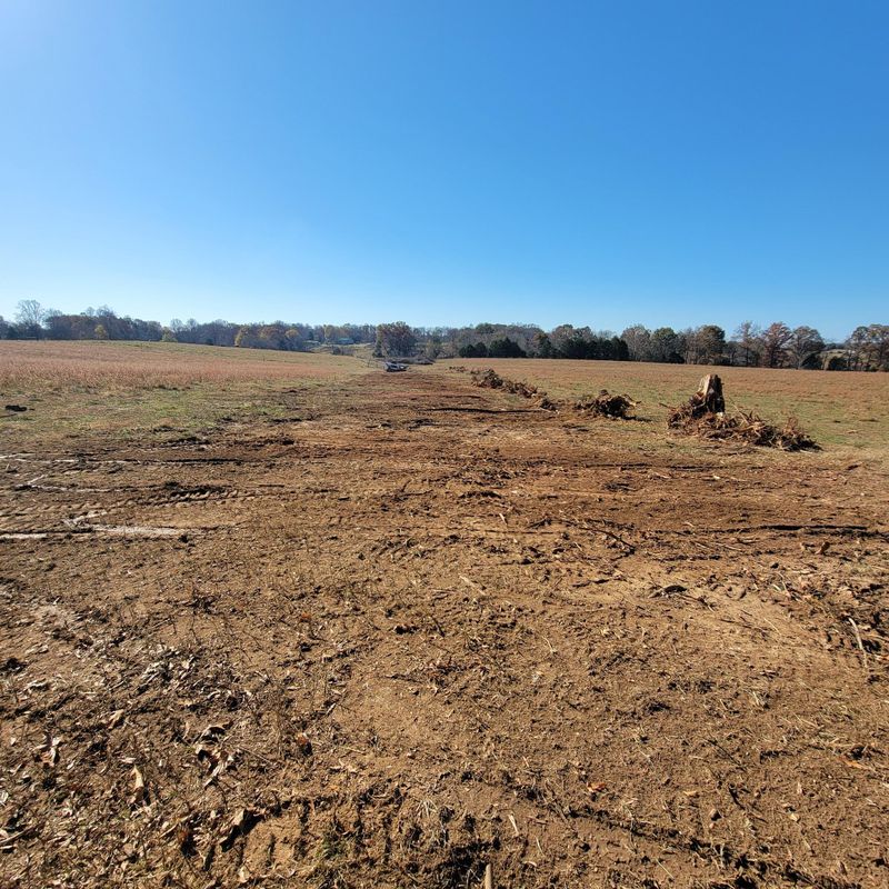 Land Clearing