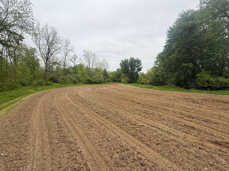 Land Clearing