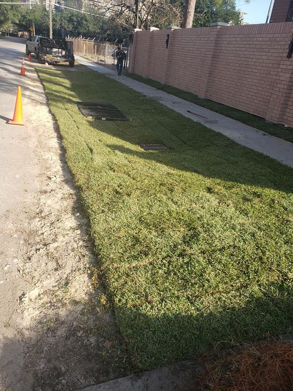 Landscaping Designs