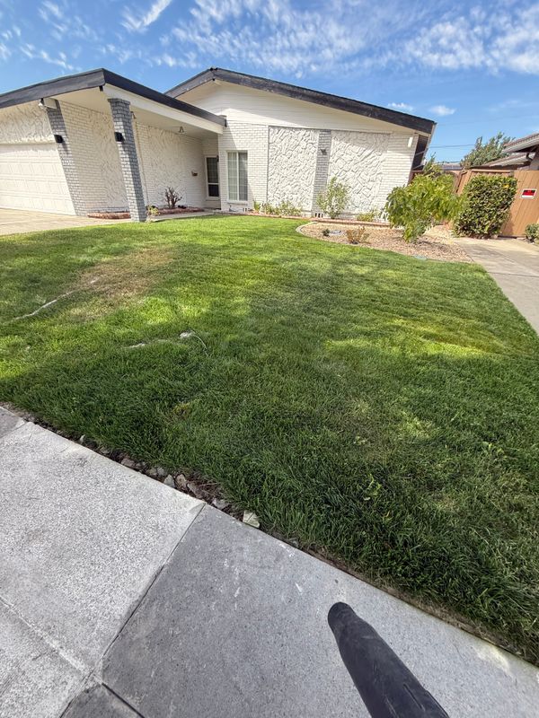 Landscaping