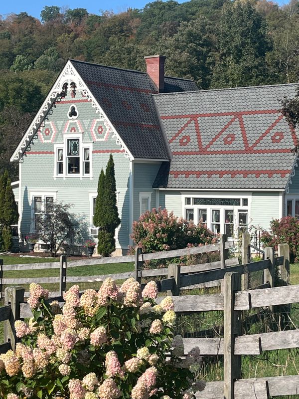 Painted Lady Projects