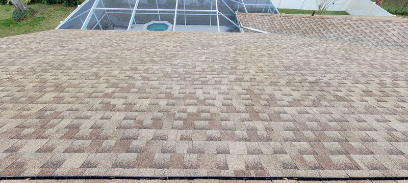Shingle Roof Cleaning