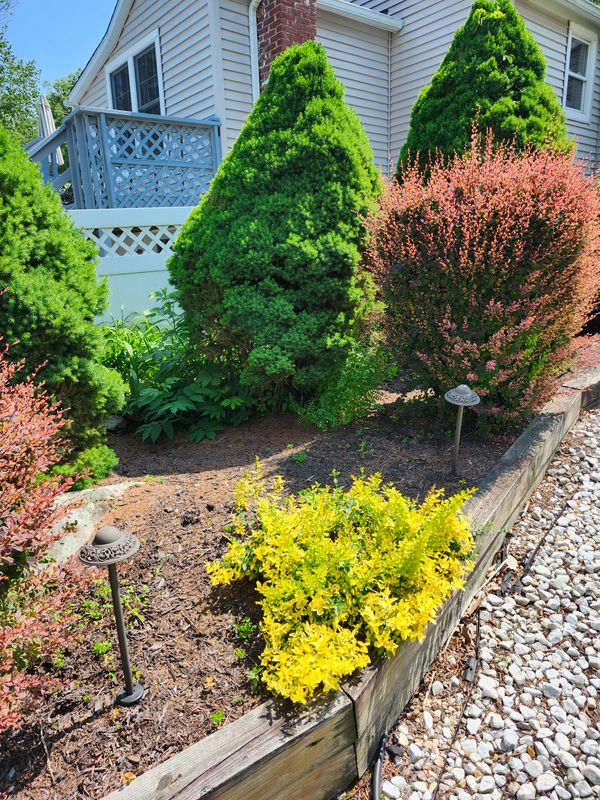 Patio Design & Construction