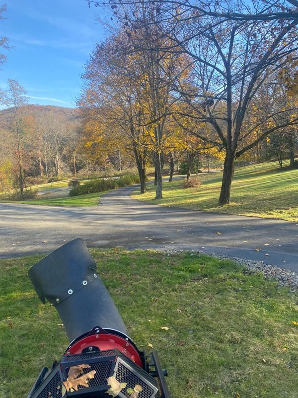 Fall Clean Up
