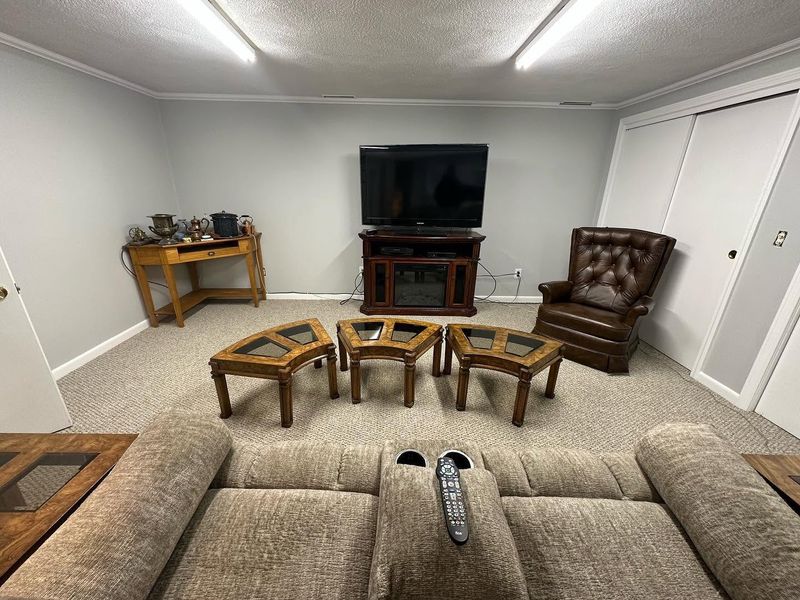 Basement Renovation