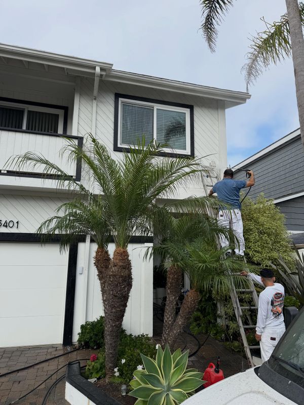 Exterior Painting