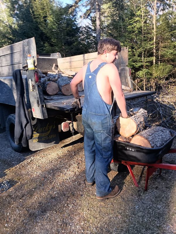 Tree Removal gallery
