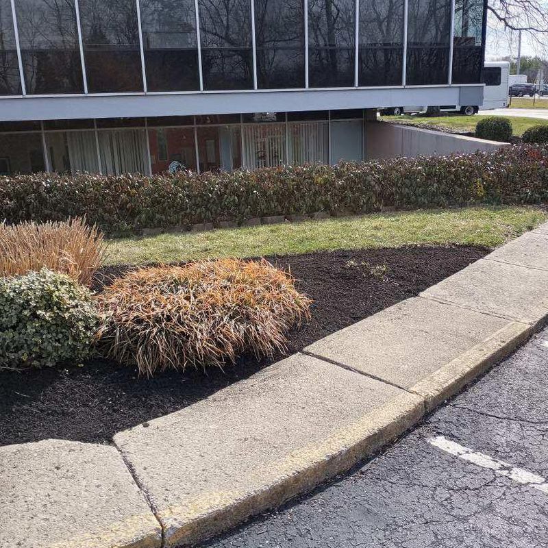 Weed Control