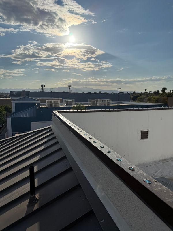 Transforming Casa De Paz: Comprehensive Bird Proofing Solution