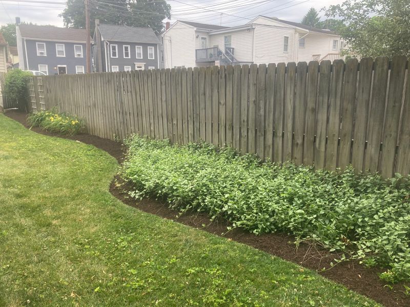 Landscape Design