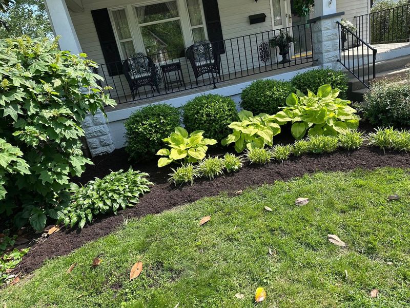 Tree & Shrub Care