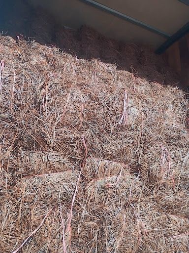 Pinestraw Installation