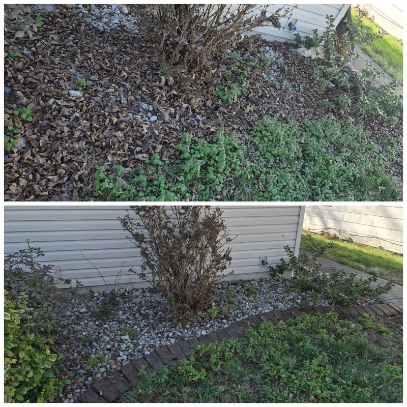 Seasonal Cleanups