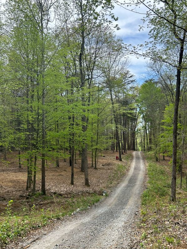 Driveway Construction