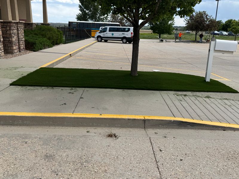 Artificial Turf Installation