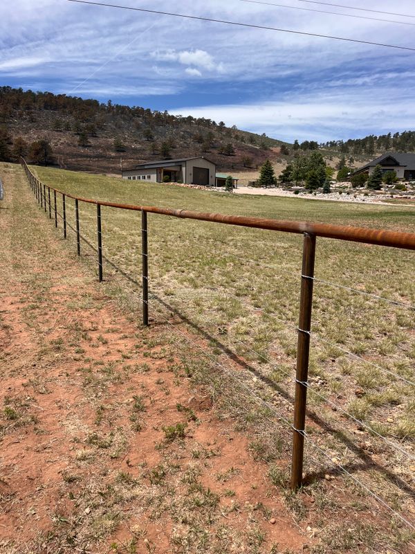 Barbed Wire
