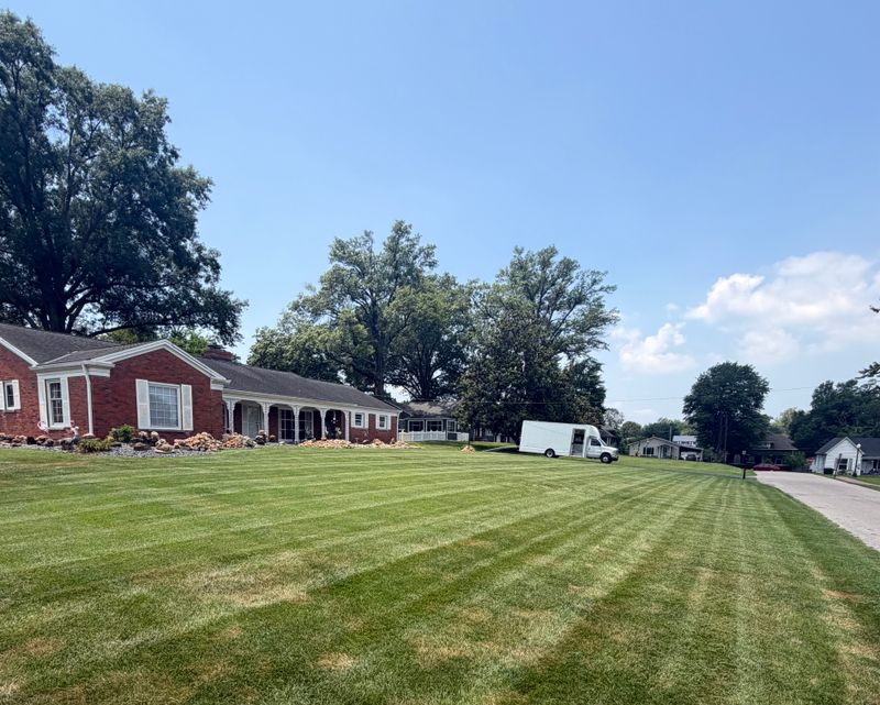 Bi-Weekly Lawn Maintenance
