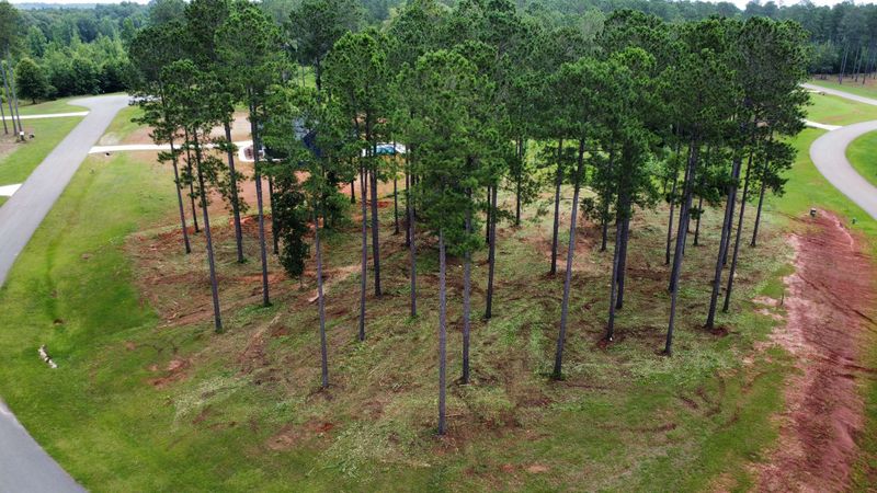 Land clearing and underbrush clearing