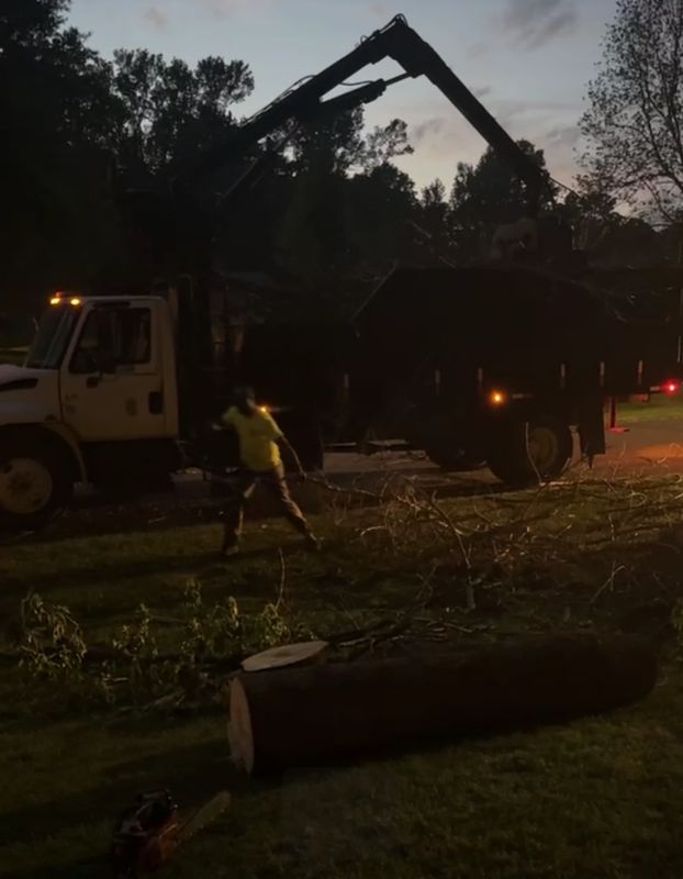 Tree Debris Removal