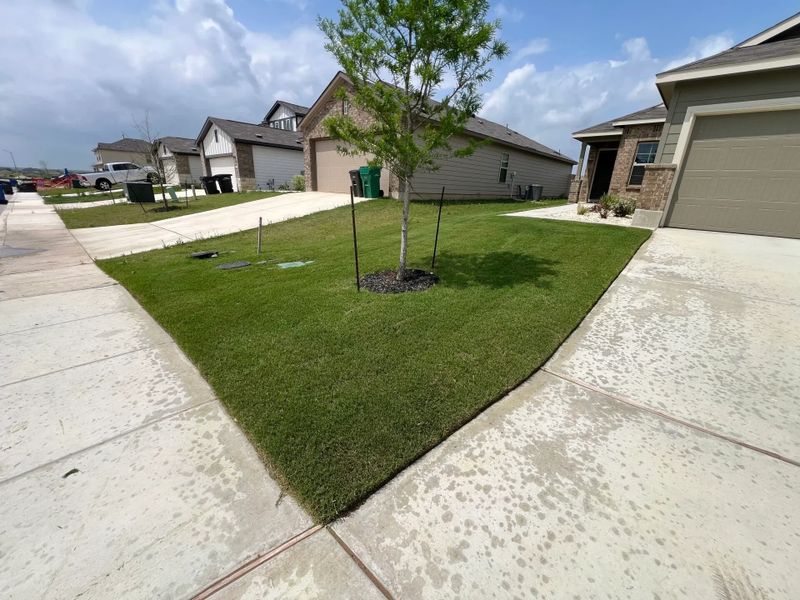 Lawn Mowing