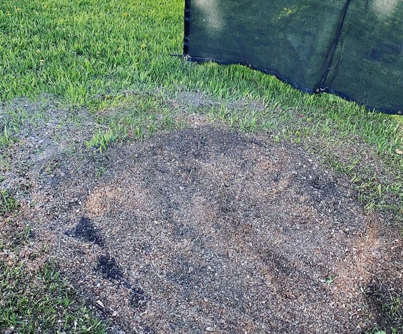Stump Grinding