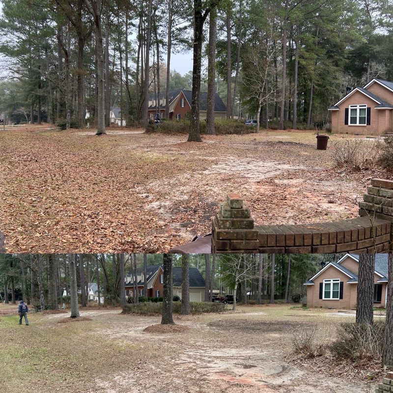 Land Managment 