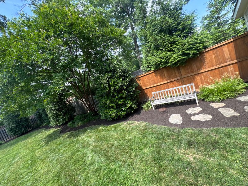 Lawn Care & Maintenance