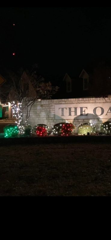 Christmas lights