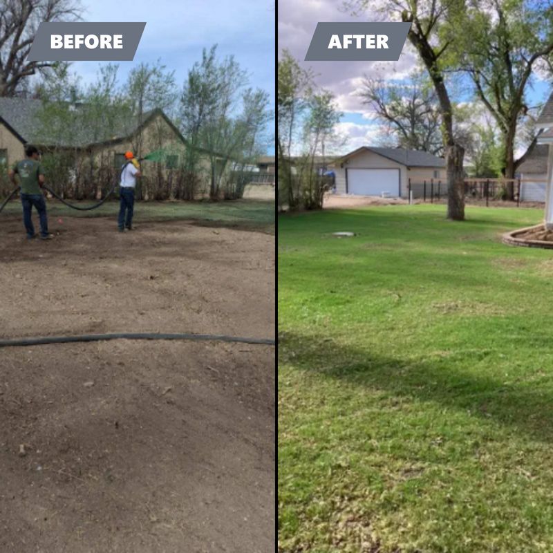 Hydroseeding