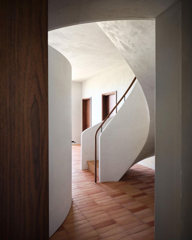 Plaster Repair