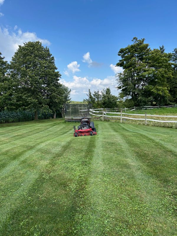 Lawn Mowing