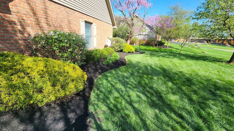 Mulch Installation