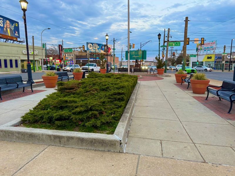 Landscape Design