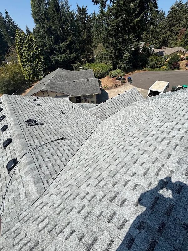Roof Cleaning