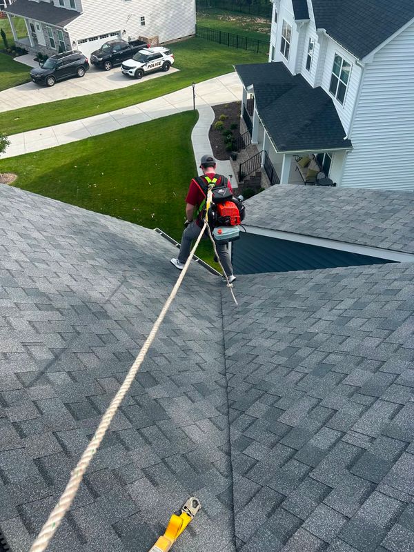 Roof Cleaning
