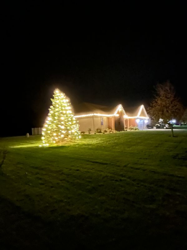 Christmas Decor 