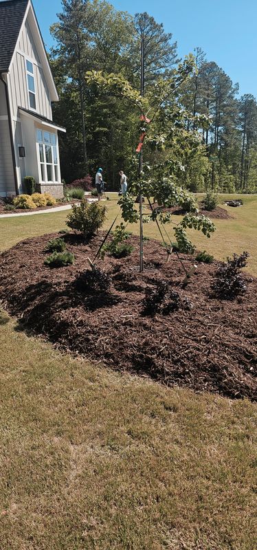 Landscape Installation